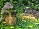Ground Hog Pair.jpg (13703 bytes)